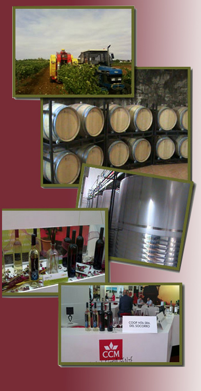 Proceso de producción